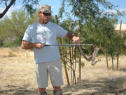 Allstate Animal Control trapper with snake